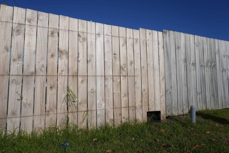 TopBuilders 1 768x513