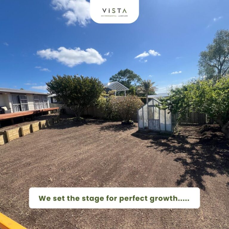 Vista Environmental Landcare 2 768x768