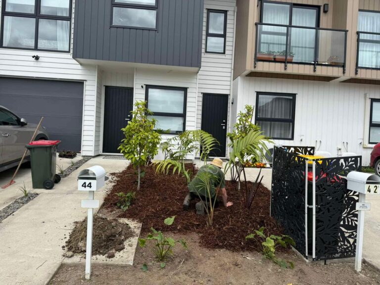 West Auckland Landscaping and Palms 3 768x576