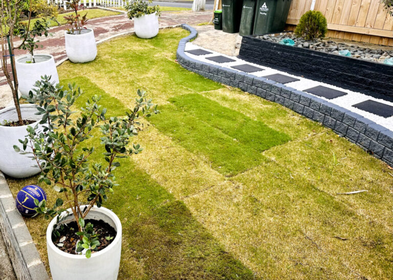 YuNisa Limited 2 768x548