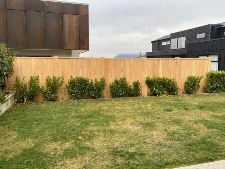 aspiring fencing 2 768x576