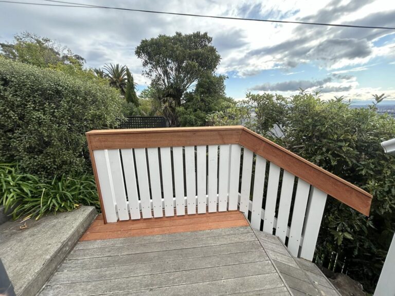 mikes the guy 1 768x576