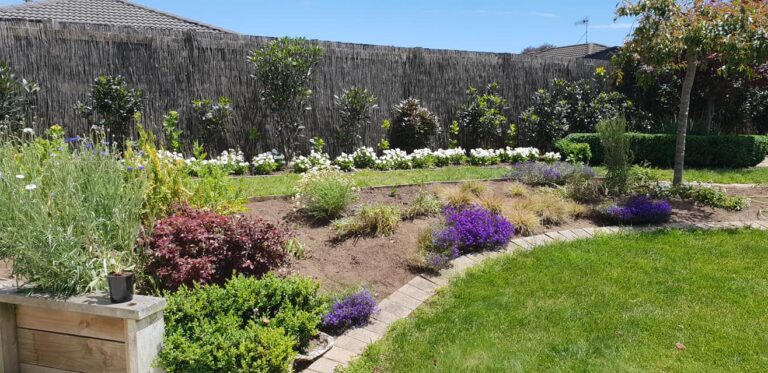 serene maintenance 2 768x373