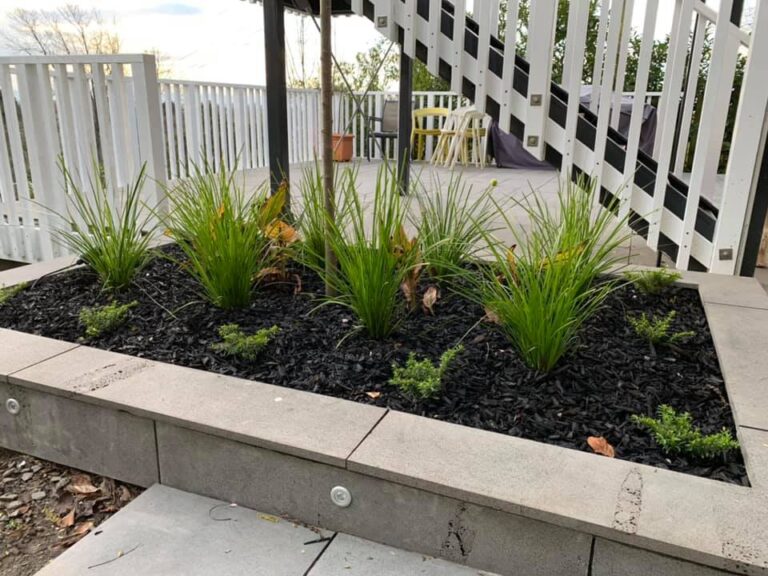 spaceman gardens 3 768x576