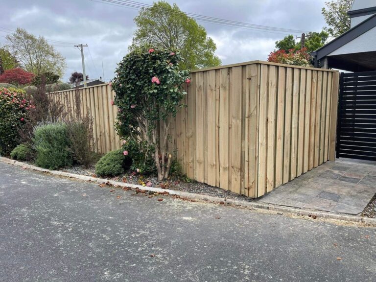 66b7678f af83 2645 cbc5 80561becdd33 768x576