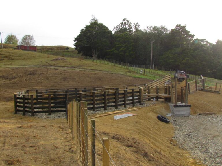 Hillcut Contracting 1 768x576