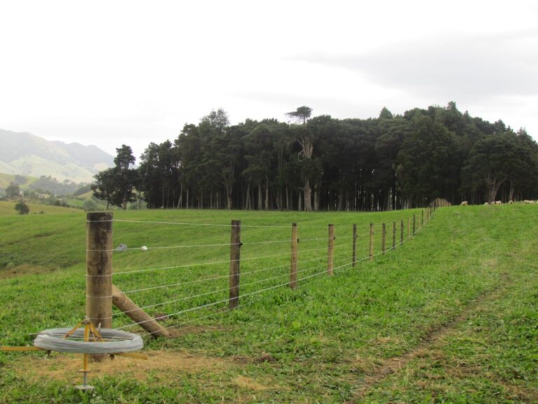 Hillcut Contracting 2 768x576
