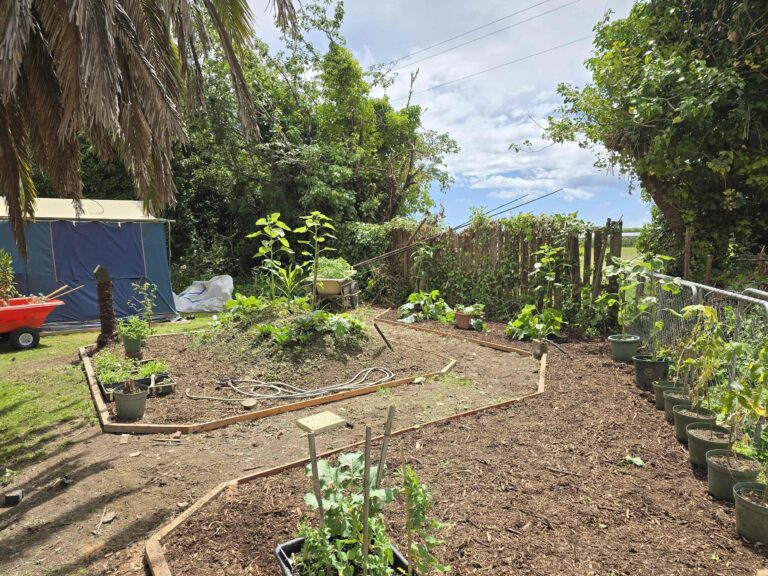 20250103 120731 2 768x576