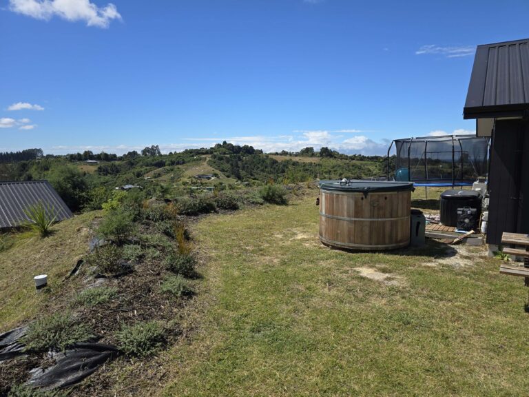 20250226 141002 1 768x576