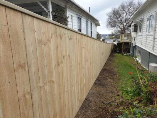 471558788 2218020221926837 5651380342541778267 n