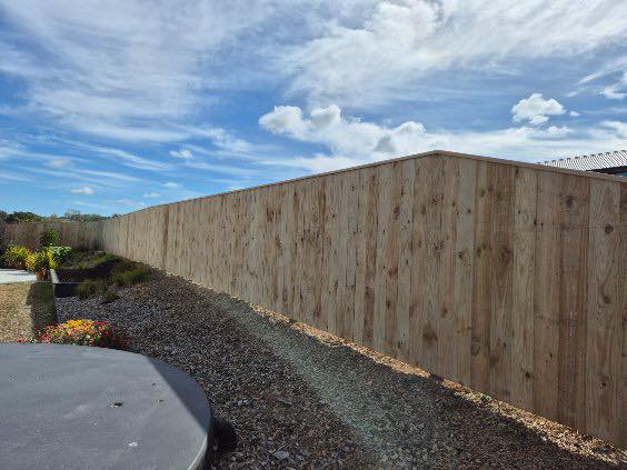 497591756 1182468260344323 6834421886112136084 n