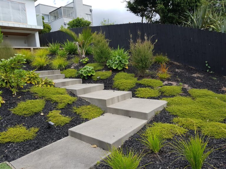 92023a9e a030 44e2 997c a6255af1a99f 1 768x576