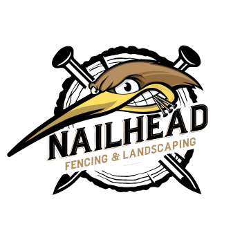 6749de720f5dce4802aa9b3c