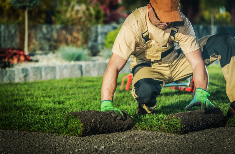 What Does a Landscaper Do